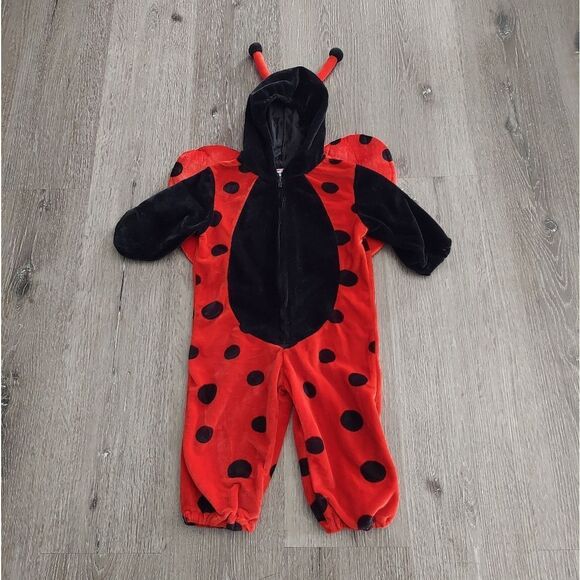 miniwear Other - Red and Black Ladybug Costume for Kids